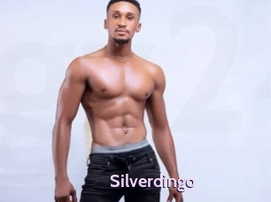 Silverdingo