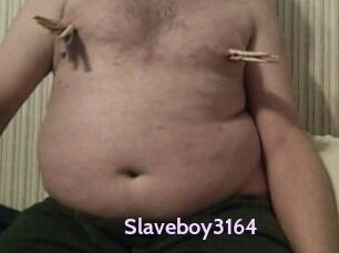 Slaveboy3164