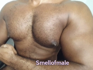 smellofmale Gay Zone 24