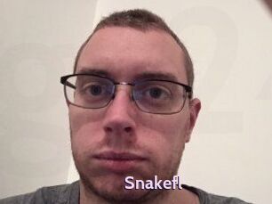 Snakefl