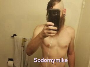Sodomymike