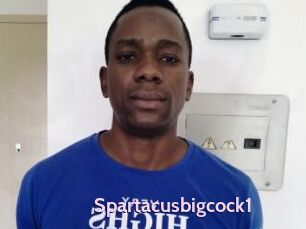 Spartacusbigcock1