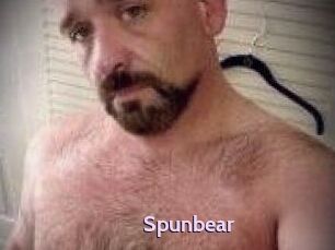 Spunbear