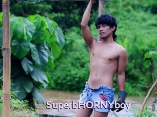 SuperbHORNYboy