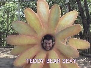 TEDDY_BEAR_SEXY