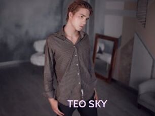 TEO_SKY
