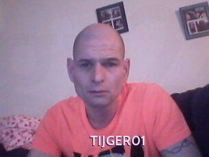 TIJGER01