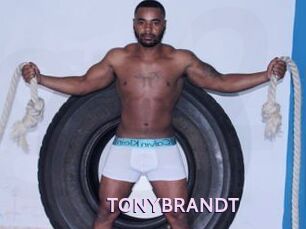 TONYBRANDT