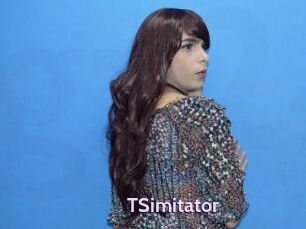 TSimitator