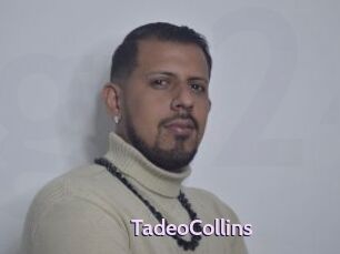 TadeoCollins