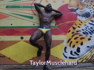 TaylorMusclehard