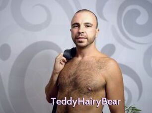 TeddyHairyBear
