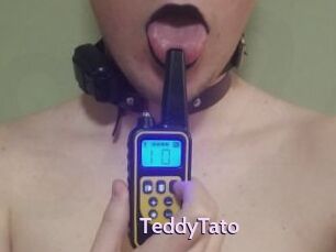 TeddyTato