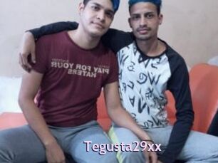 Tegusta29xx
