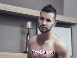 TeoBanner