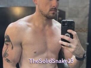 TheSolidSnake23