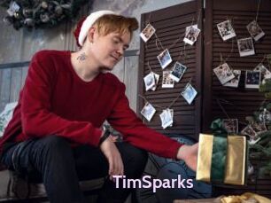 TimSparks