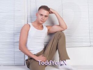 ToddYorkX