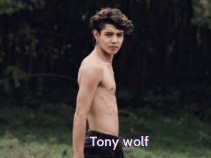 Tony_wolf