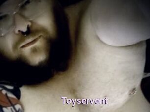 Toyservent