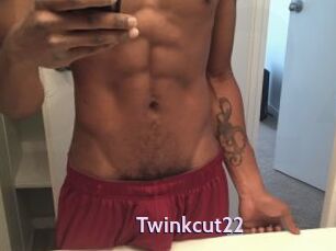 Twinkcut22