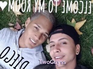 TwoGuyss