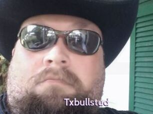 Txbullstud