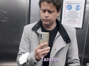 Tanitoo