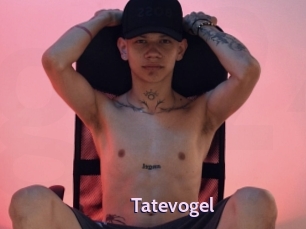 Tatevogel