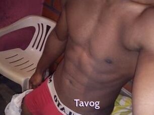 Tavog