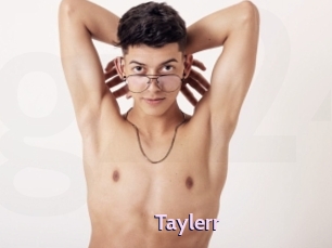 taylerr Gay Zone 24