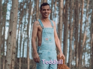 Teddhill