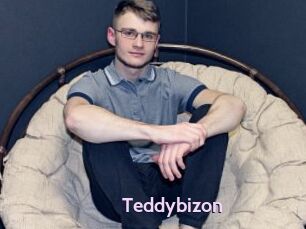 Teddybizon