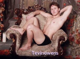 Tevinowens