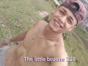 The_little_bruette_228