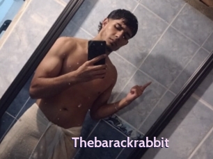 Thebarackrabbit