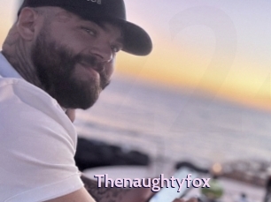 thenaughtyfox Gay Zone 24