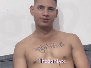 Thesantyx