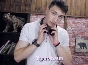 Tigershaun