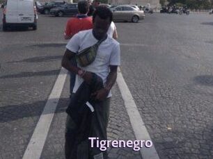 Tigrenegro