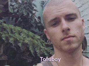 Tofu_boy