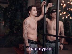 Tommygant