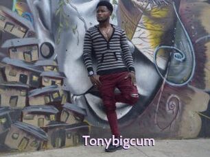 Tonybigcum