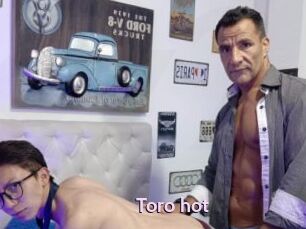 Toro_hot