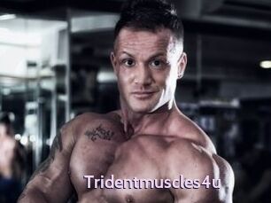 Tridentmuscles4u