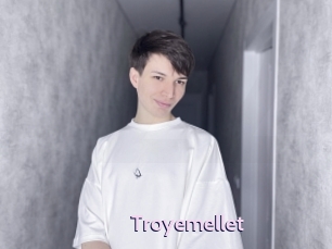 troyemellet Gay Zone 24