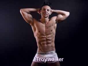 Troywalker