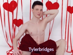 tylerbridges Gay Zone 24