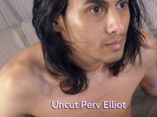 Uncut_Perv_Elliot