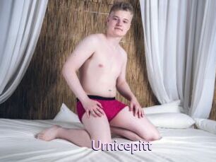 Urnicepitt